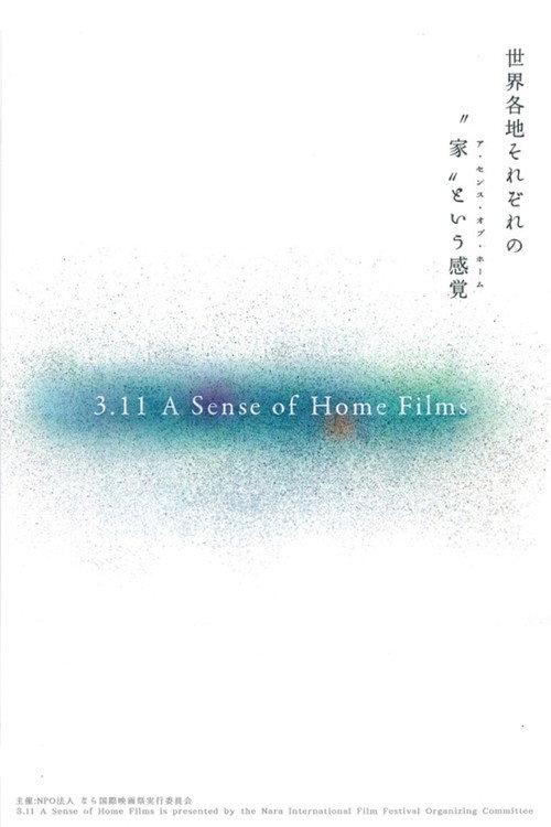 3.11 家庭电影的感觉