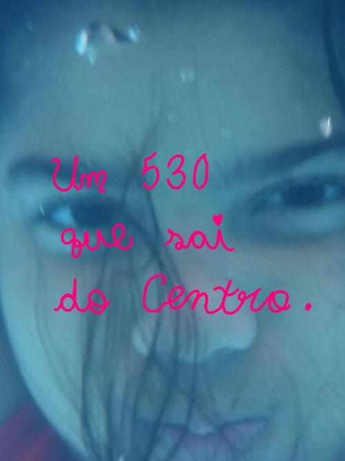 Um 530 que sai do Centro.
