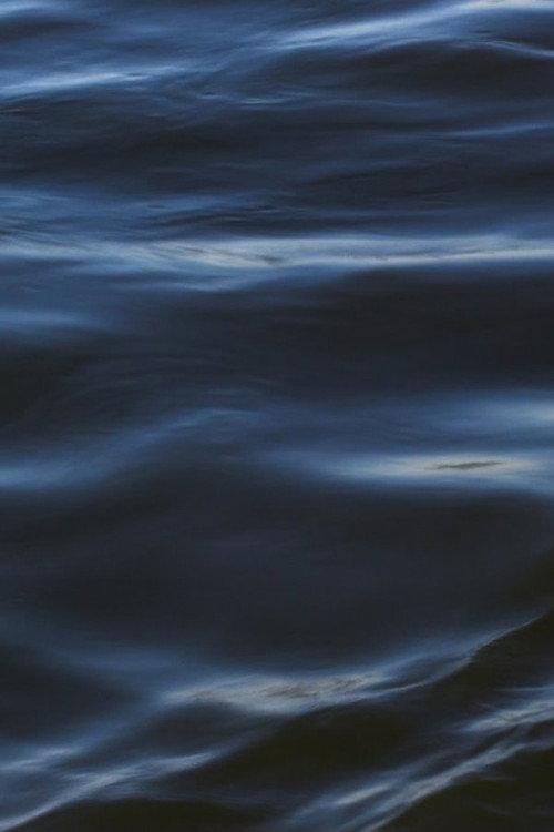 The Flood