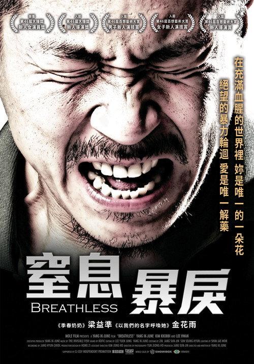 绿头苍蝇