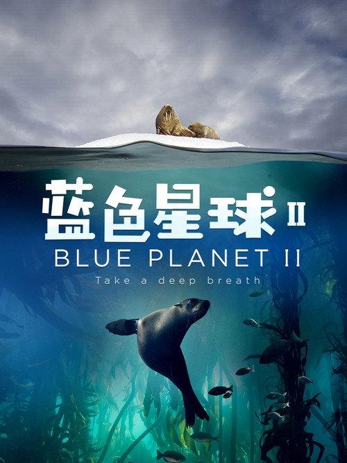 蓝色星球 2