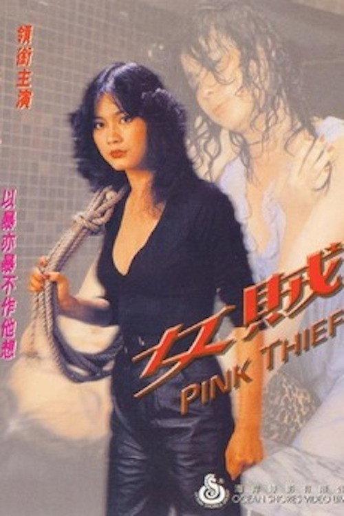 女贼