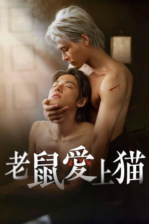 老鼠爱上猫