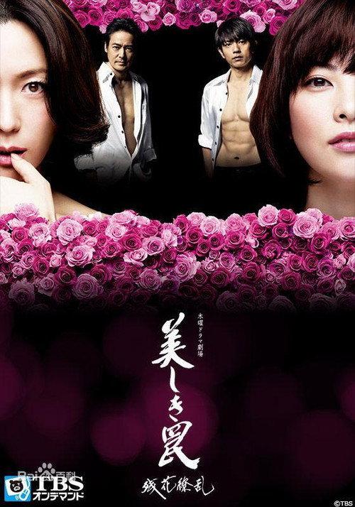 美人圈套