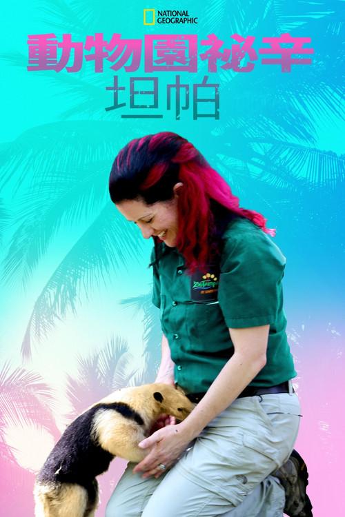 动物园秘辛:坦帕湾