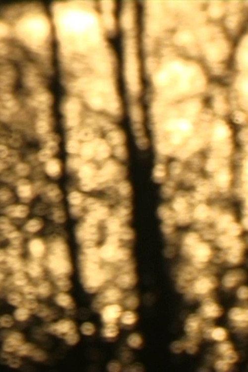 En traversée