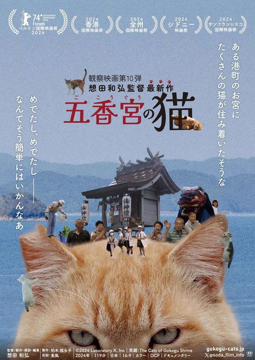 五香宫的猫
