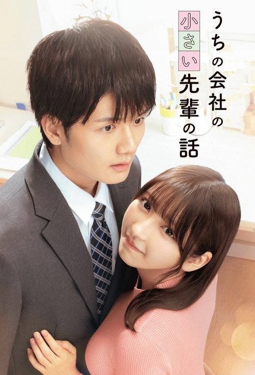 公司里的小小前辈