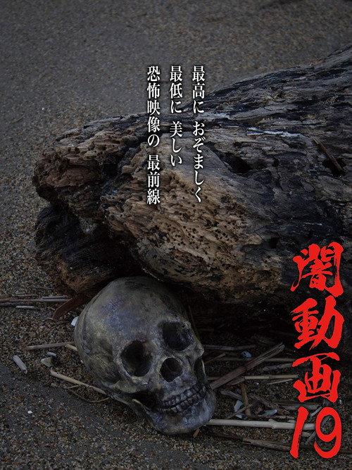 暗动画19