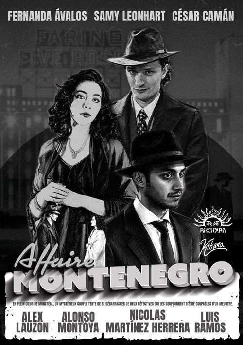 Affaire Montenegro