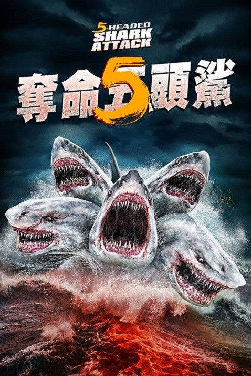 夺命五头鲨
