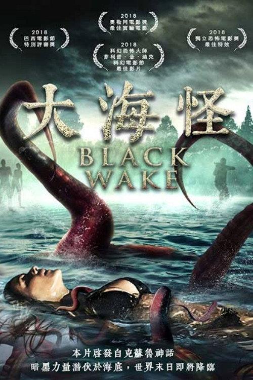 黑色尾流