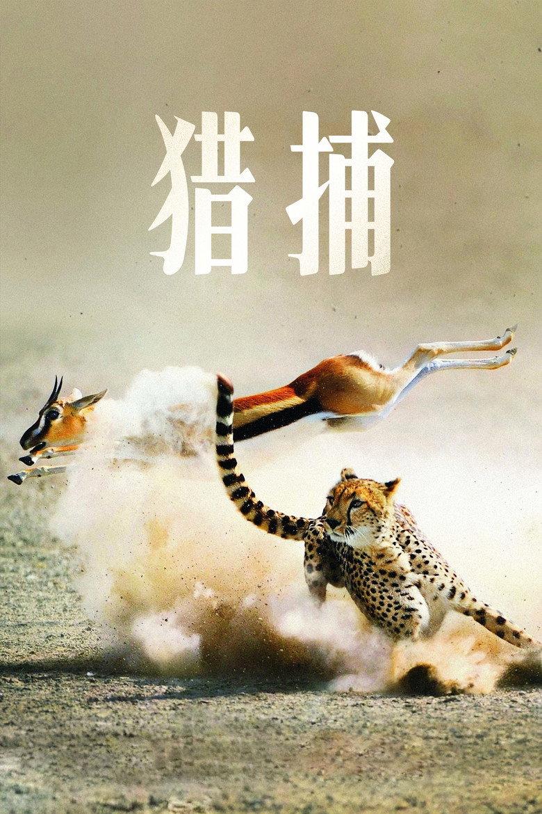 猎捕