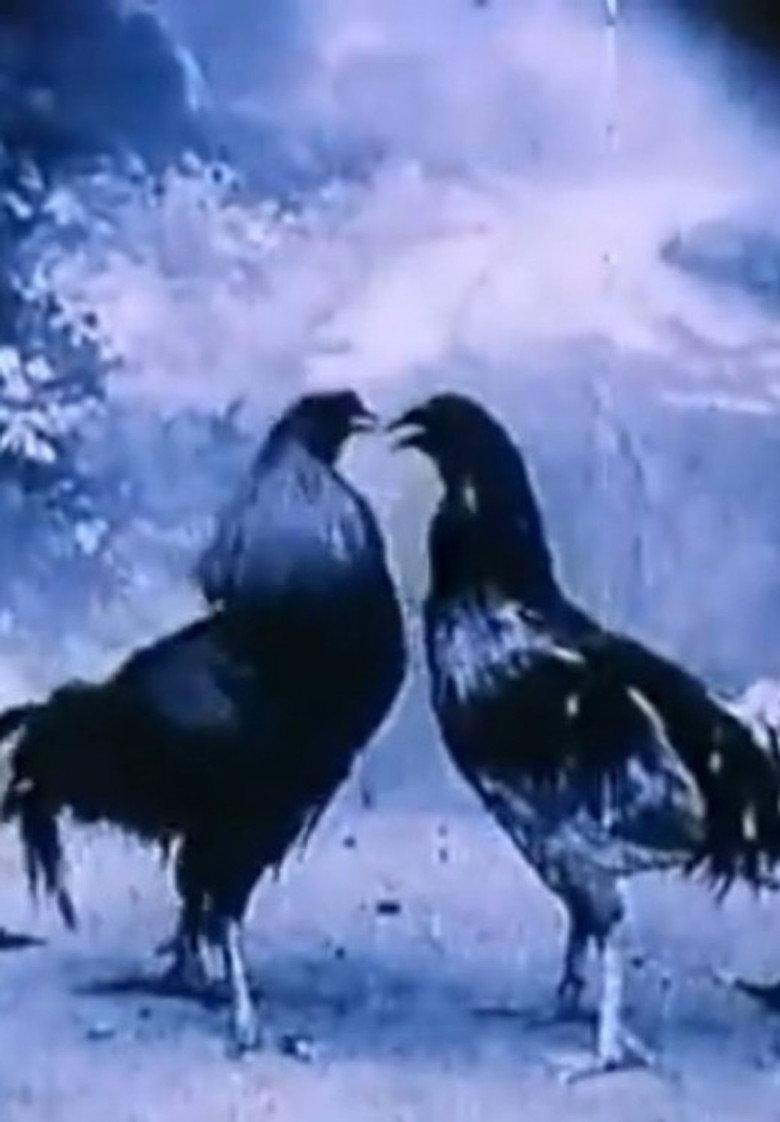 Animali Criminali