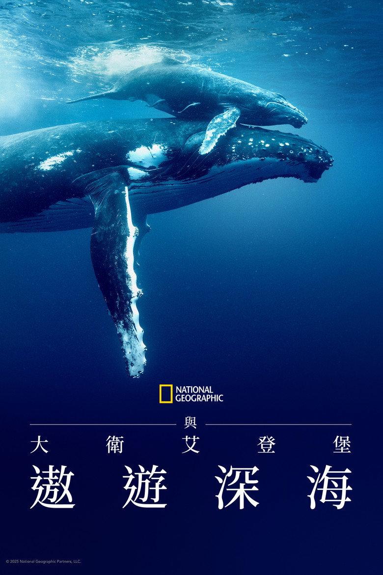 大卫·爱登堡:海洋