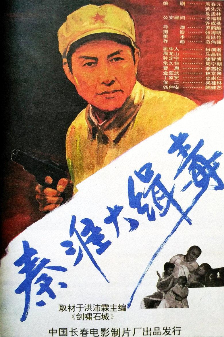 秦淮大缉毒