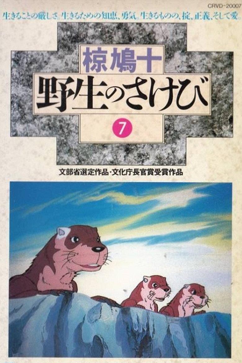 动画 野性的呼唤
