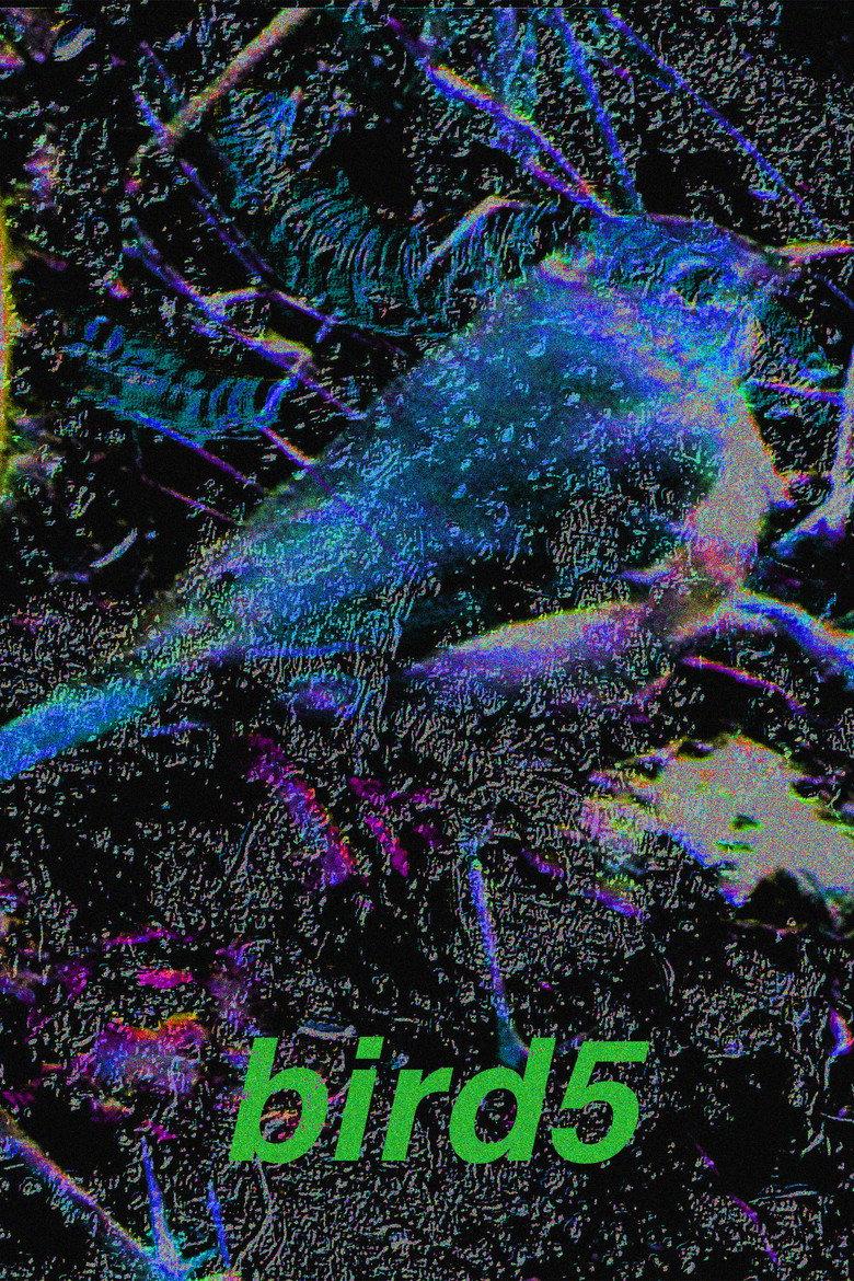 bird5.mp4