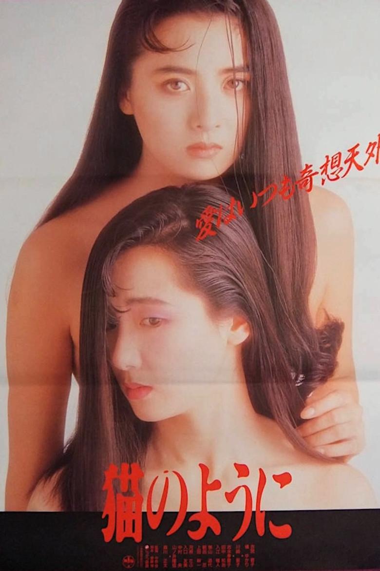 像猫一样生活