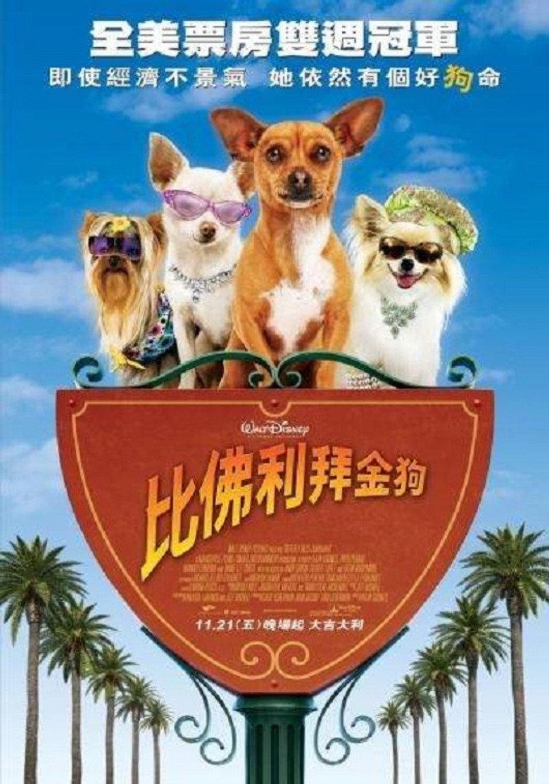 比佛利拜金狗