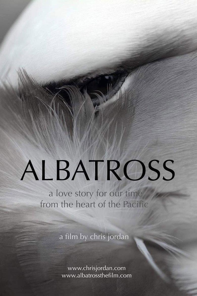 Albatross