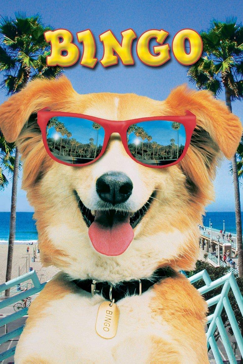 灵犬宾果