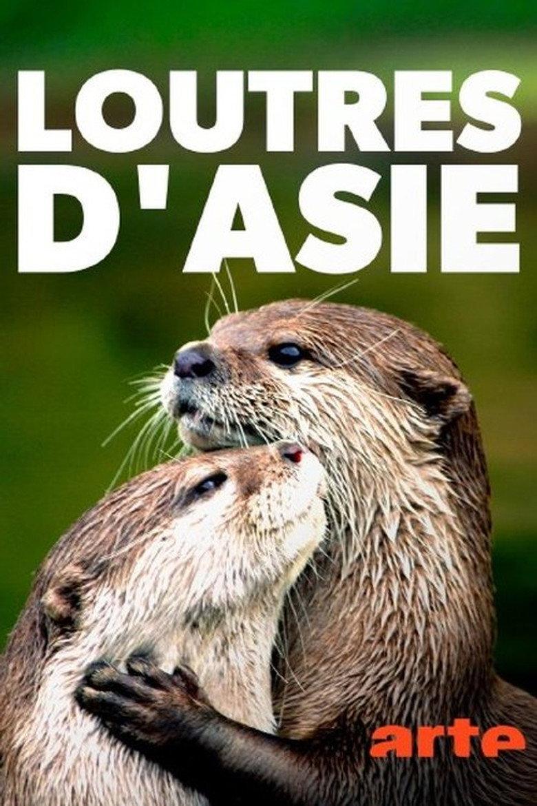 My Otter Diary