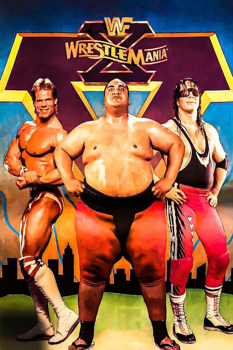 WWE 摔角狂热 10