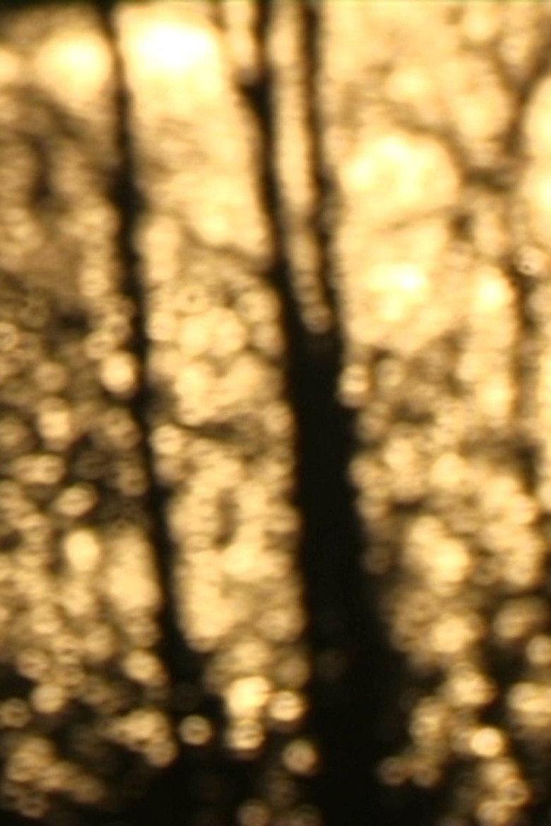 En traversée
