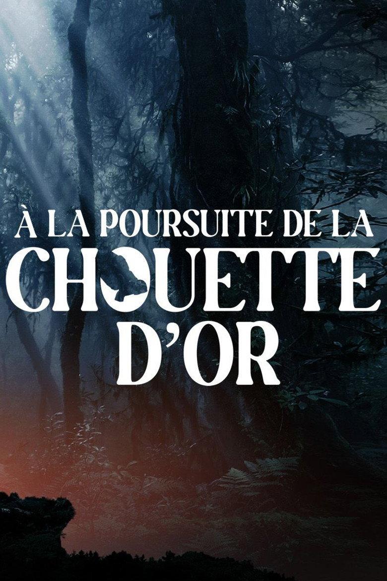 À la poursuite de la chouette d'or