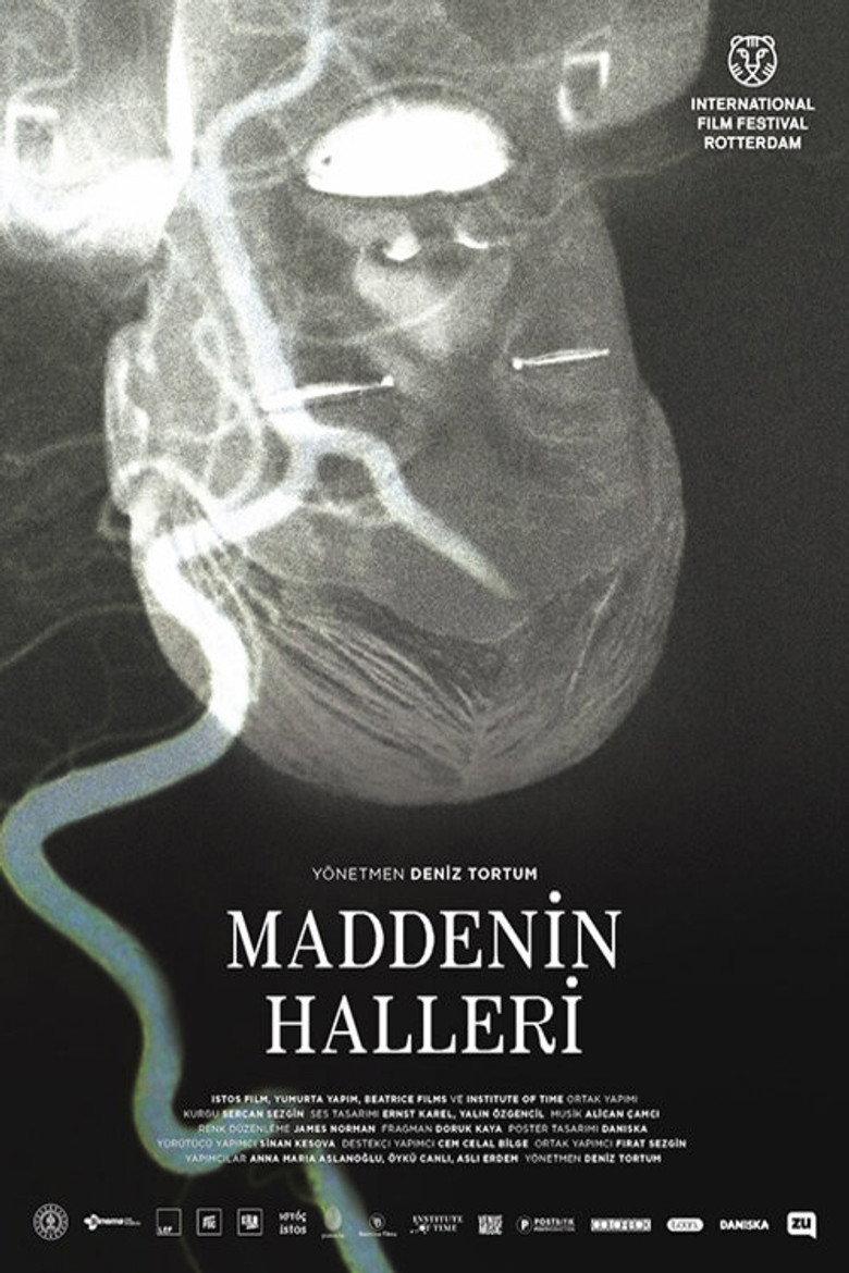 Maddenin Halleri