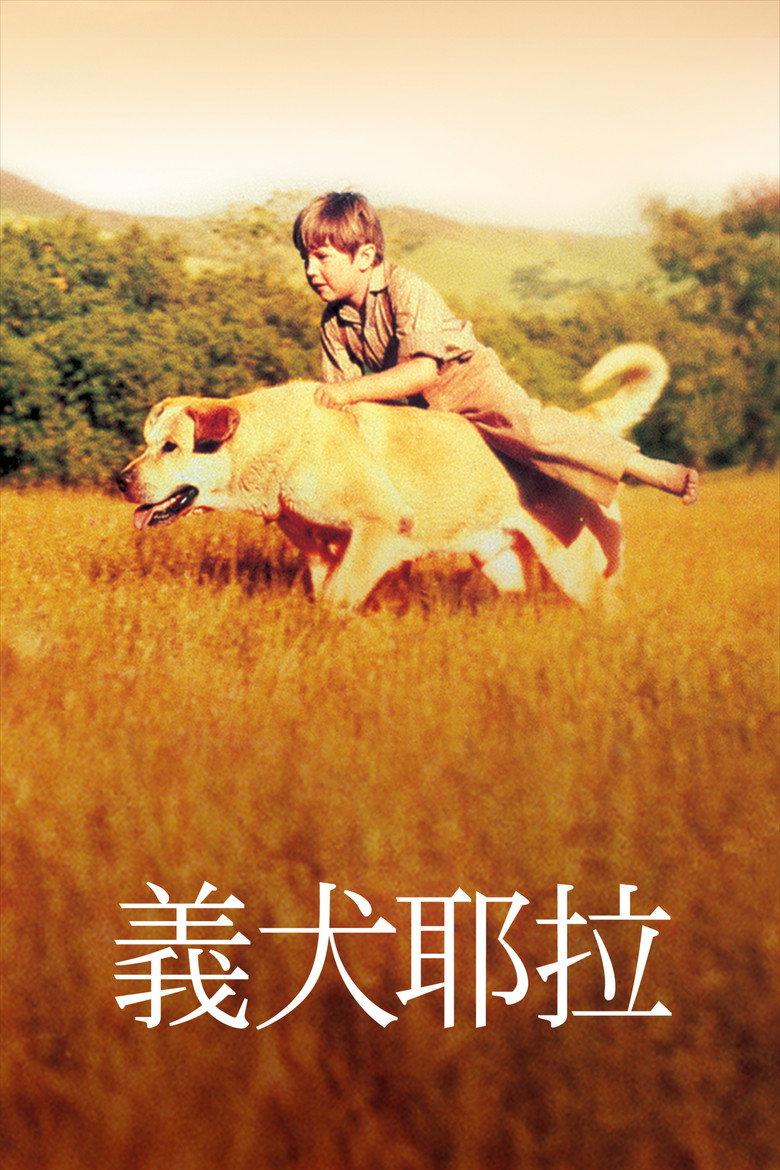 老黄狗